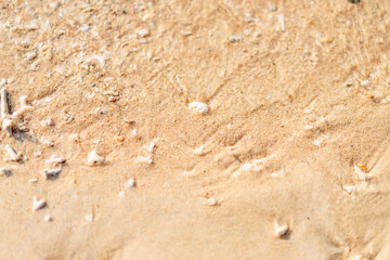 透明感のある浜辺