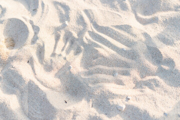 透明感のある浜辺