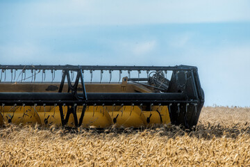 combine harvester in a wheat field