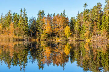 Fototapeta na wymiar Autumn at the lake in the woods with water reflections