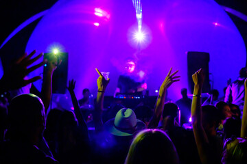 Fototapeta na wymiar Crowd and DJs dancing during party