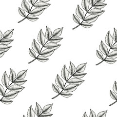 black and white leaf branch seamless pattern, autumn leaf decoration for backgrounds, fabric or wrapping, vintage leaf ink drawing, line art floral sketch