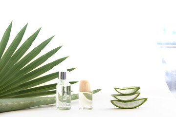Aloe Vera leaf slice with essential oil.