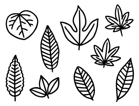 葉っぱ 紅葉 Photos Royalty Free Images Graphics Vectors Videos Adobe Stock 葉っぱ 紅葉 Photos Royalty Free Images Graphics Vectors Videos Adobe Stock