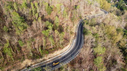 aerial view winding road on a hill with dry trees