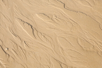 Sand texture. Sandy beach for background.