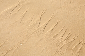 Sand texture. Sandy beach for background.