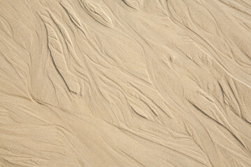 Sand texture. Sandy beach for background.