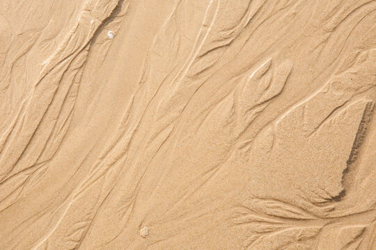 Sand texture. Sandy beach for background.
