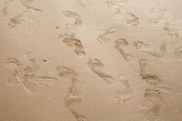 footprints on the beach sand.