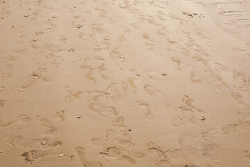 footprints on the beach sand.