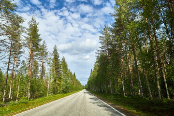 Fototapeta na wymiar Beautiful landscape with blue sky, white clouds and the road that goes to the horizon with the forest and trees on the roadsides
