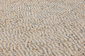 sand texture,beach sand.