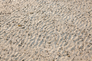 Fototapeta na wymiar sand texture,beach sand.