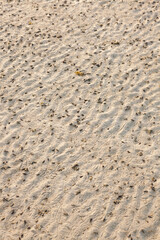 Fototapeta na wymiar sand texture,beach sand.