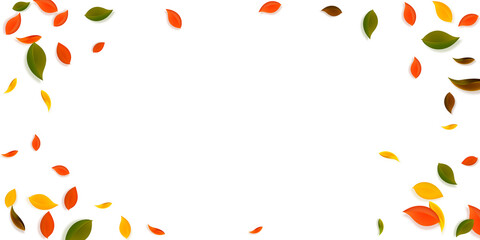 Falling autumn leaves. Red, yellow, green, brown c