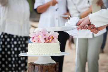 Wedding cutting a wedding cake .