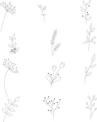 set of vector hand drawn doodle flowers and leaves