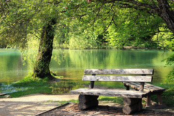 Fototapeta premium One of the most astonishing Plitvice Lakes, Croatia doring spring times. A truly virgin and wonderful piece of nature.
