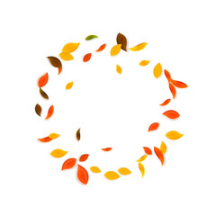 Falling autumn leaves. Red, yellow, green, brown c