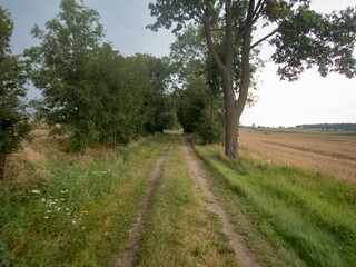 Fototapeta na wymiar czech agricultural landscape in countryside