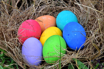 Colorful easter eggs in the nest with green grasses background of front yard, selective focus