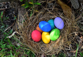 colorful easter eggs in the nest with green grasses background of front yard, selective focus