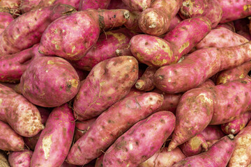 closeup of pink  sweet potatoes.