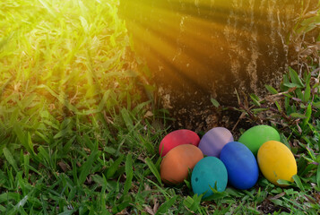 Variety of colorful Easter eggs on grass, selective focus