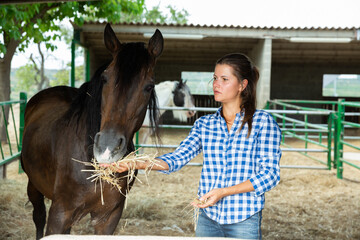 Smiling female farmer feeding bay horse with dried grass in outdoor enclosure on farm