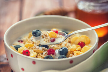 Healthy breakfast muesli with berries, honey and milk	