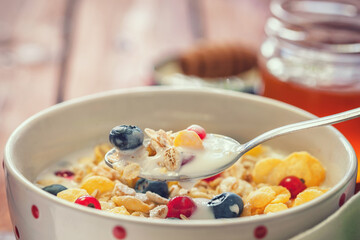 Healthy breakfast muesli with berries, honey and milk	