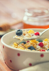 Healthy breakfast muesli with berries, honey and milk	
