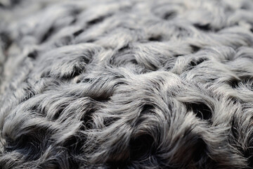 Hat elements from astrakhan fur closeup. Shallow depth of field