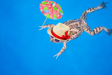 funny frog in sunglasses and a straw hat on a blue background, abstraction