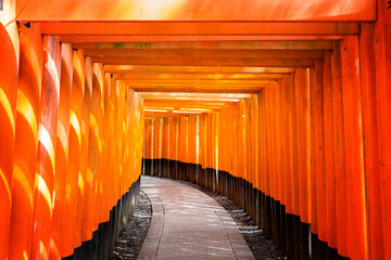 Fushimi Inari Shrine, with a walkway of many Torii Gates. Ktoto, Japan. 