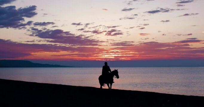 Silhouette cavallo in riva al mare all'alba