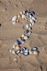 Number 2 laid out from seashells on the sand. Marine background. The symbol is two. Shells. Copy space.