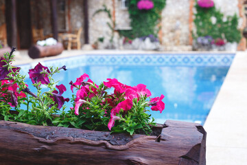 flower bed made of wood on the background of the pool