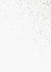 White Sequin Holiday Transparent Background. 
