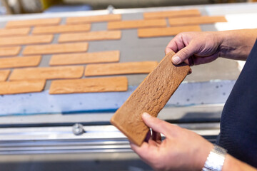 Industrial production of elastic clinker tiles. Modern technologies with the use of polymeric...