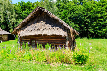 Obraz premium Old barn in the ukrainian village