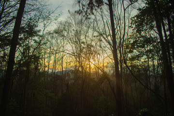 Fototapeta na wymiar The sun sets in the evening with the forest, not nature