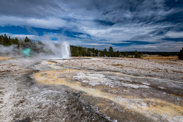 yellowstone national park wyoming