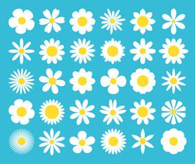 White daisy chamomile icon. Camomile super big set. Cute round flower plant nature collection. Love card symbol. Decoration element. Growing concept. Flat design. Blue background. Isolated.