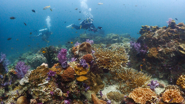 Lipe stoneheange underwater paradise of  undaman sea