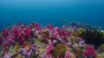 Naklejka na ściany i meble Lipe stoneheange underwater paradise of undaman sea