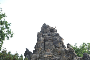 sächsische schweiz alpen fels steinbock