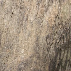 wood wall background