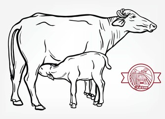 breeding cow. animal husbandry. livestock illustration on a white